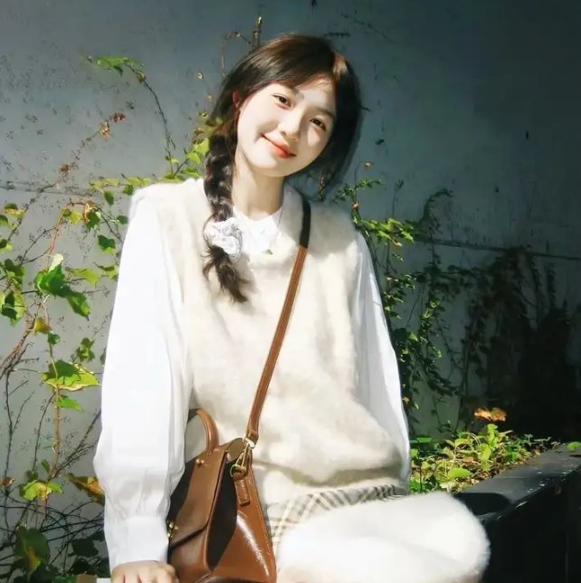 泰版狐狸的夏天